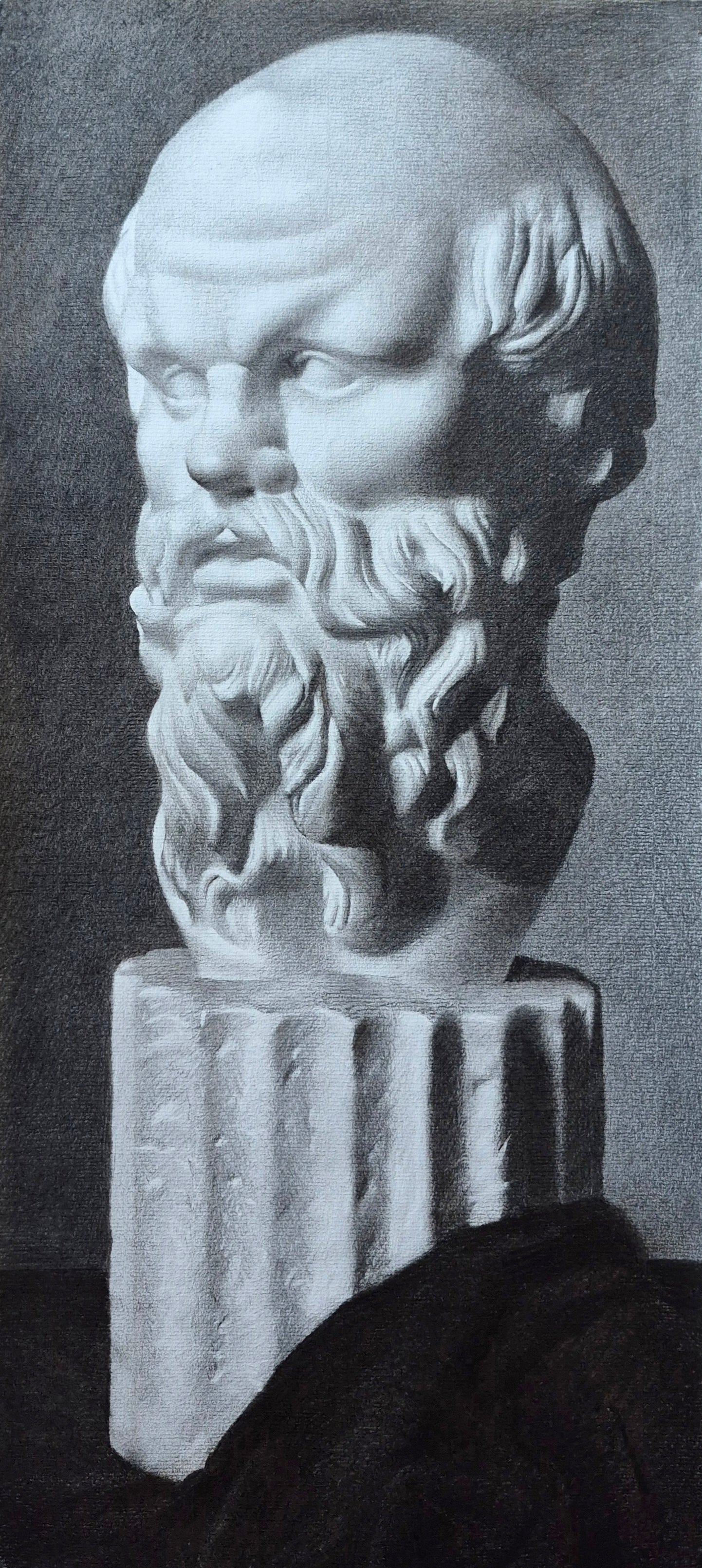 Charcoal drawing bust of a classical figure with a detailed head and beard on a gray background
