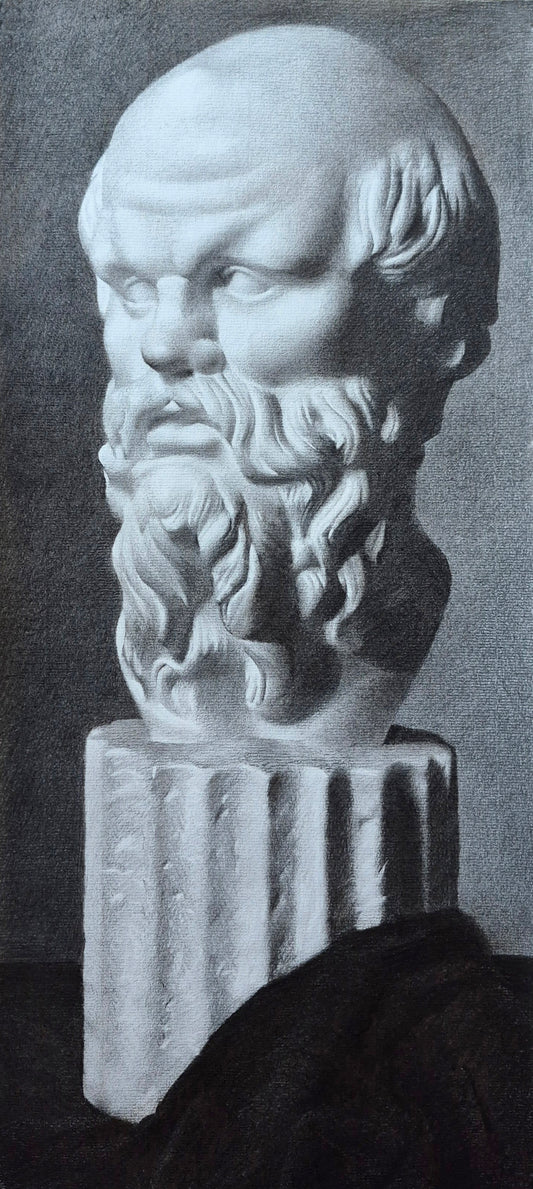 Charcoal drawing bust of a classical figure with a detailed head and beard on a gray background